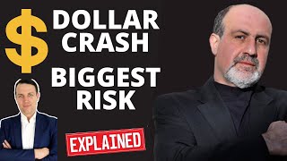 Stock Market News DOLLAR CRASH BIGGEST RISK  Nassim Taleb [upl. by Pippa]