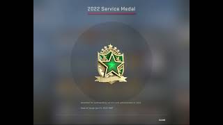 cs go service medal 2022 tier 2 [upl. by Eveam271]