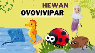 HEWAN OVOVIVIPAR  Contoh Hewan Ovovivipar di Sekitar Kita ❗️💫 [upl. by Zola]