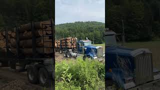 kenworth logging automobile dirtbike hemlock loggers pimpin bigtruck [upl. by Aharon]