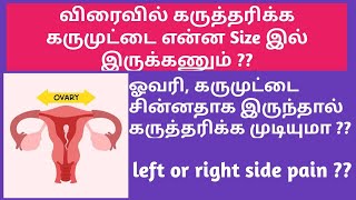 Egg size Ovary size and pregnancy in tamil  Normal egg size to conceive naturally in Tamil [upl. by Inigo]