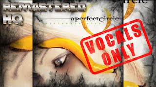 Vocals Only Remastered  Weak And Powerless  A Perfect Circle Studio Version [upl. by Rainwater]