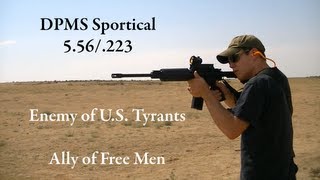 DPMS Sportical  Budget AR [upl. by Kamp435]