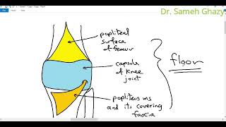 Liver Anatomy in Tamil  detailed explanation  MED TAMIL [upl. by Caroline]