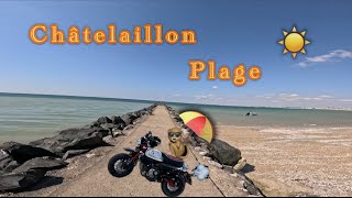 Balade avec le monstre 🐒 Châtelaillon Plage ⛱️☀️ [upl. by Nibur884]