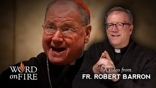 Bishop Barron on Effective Evangelization [upl. by Nnylsor]