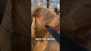 Carving a life sized dog out of a giant piece of wood with a chainsaw 😮👏  🎥 michaeljonescs [upl. by Aikemal56]