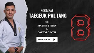 Taegeuk Pal Jang  Poomsae  Front amp Back View [upl. by Eissehc]