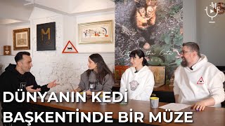 Dünyanın Kedi Başkentinde Bir Müze  Fatih Dağlı [upl. by Bej]