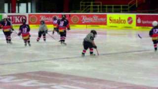 EishockeyBambinis und Laufschüler EVD [upl. by Rafiq517]