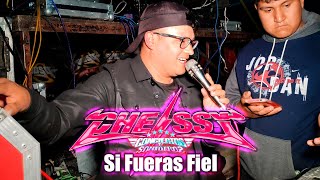 SONIDO CHELSSY SI FUERAS FIEL ESTRENO 2024 SAN PEDRO TLALCUAPAN [upl. by Karlotta]