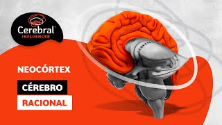 Neocórtex Funções Cérebro Trino  Cerebral Influencer Neurotrainer Nathalie Gudayol [upl. by Burbank]