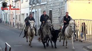 Revivre de la Fete Votive à Aigues Mortes 2024 [upl. by Ingrim]