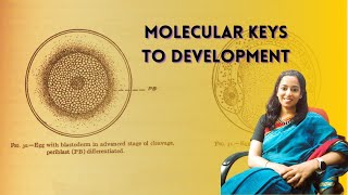 Following the dividing cells in the Mitosis and Embryogenesis Lab [upl. by Loretta]