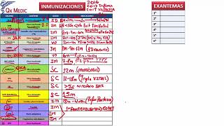 3 RM19 1V DIA 1 PEDIATRIA MAPA MENTAL INMUNIZACIONES EXANTEMAS [upl. by Cristina]