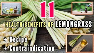 Lemongrass 11 Powerful Health Benefits You Should Know [upl. by Kennett973]