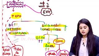 Thalassemia Major Pathology Rapid Revision For FMGE amp NEET PG By Dr Preeti Sharma [upl. by Airual]