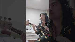 Stay With Me  Miki Matsubara Bass Cover [upl. by Zweig]