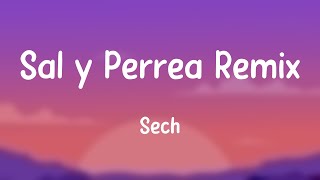 Sal y Perrea Remix  Sech Lyrics 🦠 [upl. by Corson]