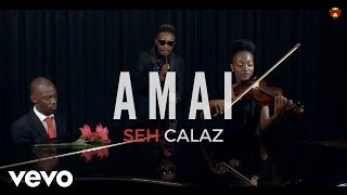 Seh Calaz  Amai Official Video [upl. by Ifok177]