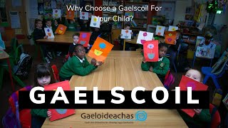 Why Choose a Gaelscoil For Your Child [upl. by Eixel]