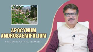 APOCYNUM ANDROSAEMIFOLIUM  HOMOEOPATHIC REMEDY  EXP BY DR K A LONGANI MD HOM LONGANI CLINICS [upl. by Nomannic881]