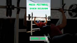 Press Pectoral Banco Inclinado Barra Libre pecho gym motivation ejercicio [upl. by Rennob]