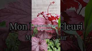 Mon Balcon Fleuri en Juin balcontour hortensia heucheres verveine lifestyle [upl. by Artenal]