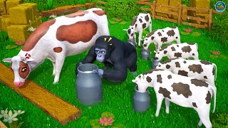 Gorillas Dairy Dilemma Cow Calfs Hilarious Milk Stealing Antics Funny Cows Comedy Cartoons [upl. by Marquis312]