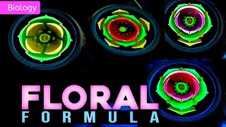 FLORAL FORMULA  CLASS 11  3D ANIMATION  MORPHOLOGY OF FLOWERING PLANTS PWNEETWallah [upl. by Isobel]