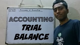 TRIAL BALANCE  Principles of Accounting Bangla Tutorial [upl. by Adav463]