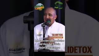 Beneficios del silicio en los suelos ácidos silidetox fertidiat [upl. by Laforge]