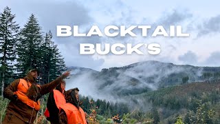 Western Washington Blacktail Deer Hunt 2024  I Cant Believe That Happened [upl. by Maurilia]