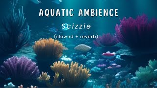 Aquatic Ambience  Scizzie slowed  reverb 1 Hour [upl. by Anar]