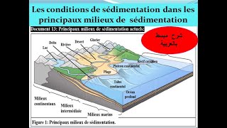 Les conditions de sédimentation dans les principaux milieux de sédimentation مبسط بالعربية شرح [upl. by Llehsal]