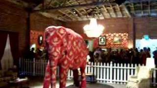 Banksy Live Painted Elephant 3 [upl. by Musette]