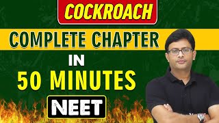 COCKROACH in 50 Minutes  Complete Chapter for NEET [upl. by Aitnwahs]