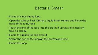 Bacterial Stain Preparation [upl. by Nerual]