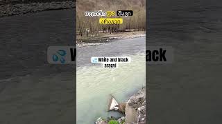 ფასანაური💦 White and black aragvi🇬🇪vlog river trip travelvideo caucasus trip foryou [upl. by Attenaej869]