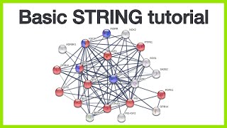 Basic STRING tutorial Protein query network views query parameters and enrichment visualization [upl. by Notned]