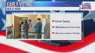 Carter County reports record turnout for early voting in midterm elections [upl. by Azil138]