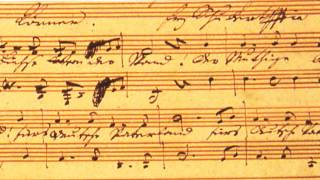 quotJägerliedquot manuscript by Franz Schubert [upl. by Acirred]