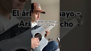 Si habrá valido la pena 😮‍💨 requinto takamine arielcamachoylosplebesdelrancho [upl. by Adnawyek]