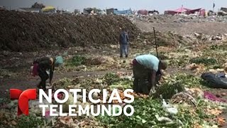 Así viven los recolectores de basura en México  Noticias  Noticias Telemundo [upl. by Sewellyn]