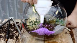 Succulent and Cacti Fish Bowl Terrarium 🌵  West Coast Gardens [upl. by Areid]