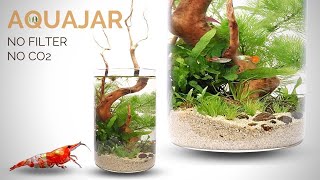 Building a Planted Aquajar no filter no CO2 Walstad style aquarium [upl. by Gehlbach]