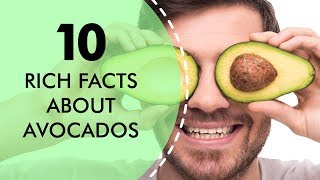 10 Rich Facts about Avocados [upl. by Regnig227]