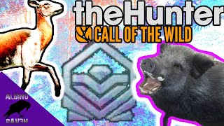 theHunter Call of the Wild Diamond Feral Pig and Rare Red Deer Te Awaroa [upl. by Ielarol149]