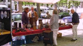 Haagse Antieken Boekenmarkt [upl. by Tonye357]