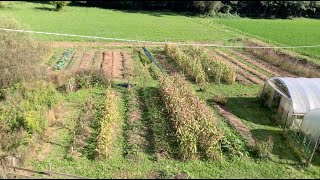 Il nostro ORTO da qui proviene il nostro cibo Agricoltura Rigenerativa Sovranità Alimentare [upl. by Lanod]